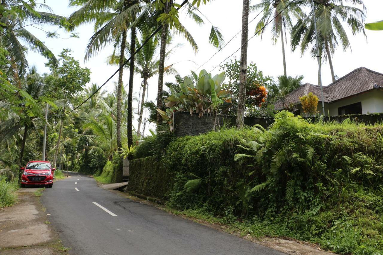 The Alise Villa Tegallalang  Exterior foto