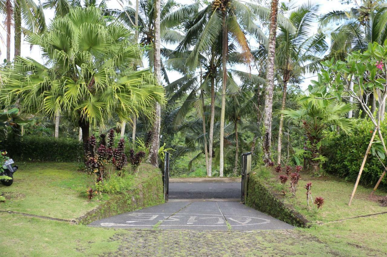 The Alise Villa Tegallalang  Exterior foto